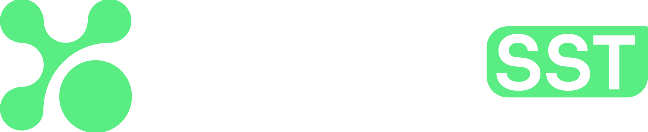 Agilize SST